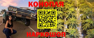 гашиш Кингисепп