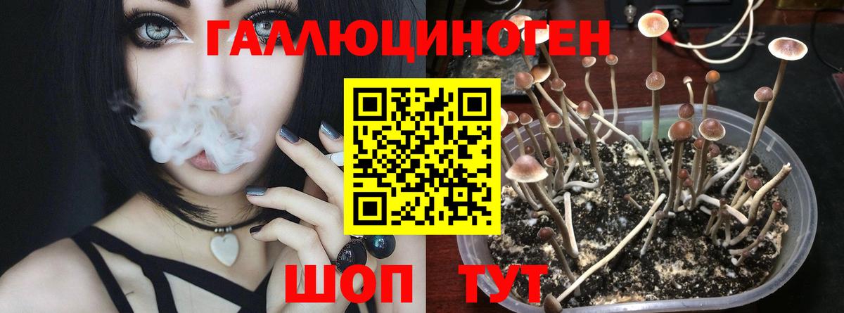 Псилоцибиновые грибы ЛСД Кушва