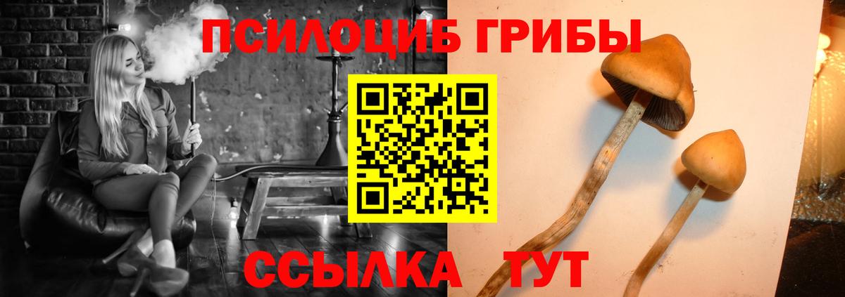 Галлюциногенные грибы Magic Shrooms  Вход с VPN  Кушва  Псилоцибиновые грибы мицелий 